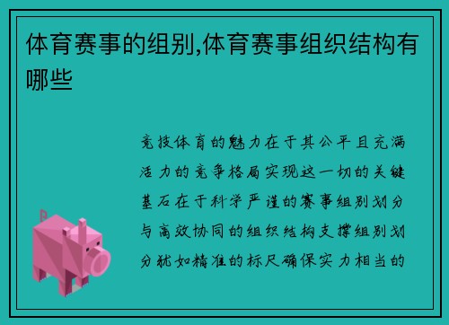 体育赛事的组别,体育赛事组织结构有哪些